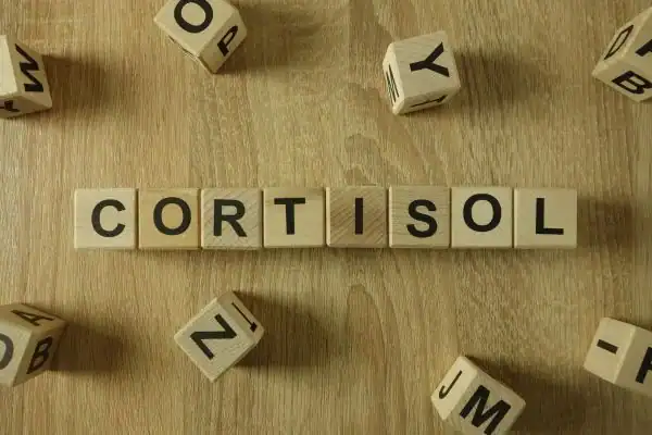 The Hidden Connection: How Stress Shapes Your Fitness and Body Composition 2 Image saying "Cortisol" and how stress Nazeing impacts your wellbeing and bodies shape